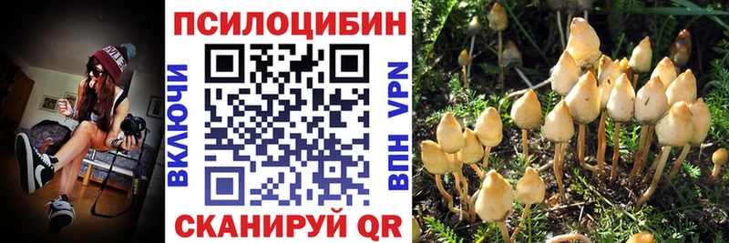 Галлюциногенные грибы ЛСД  Гай 