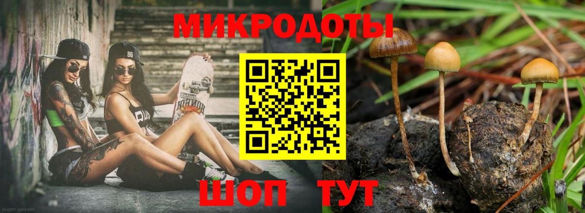 Галлюциногенные грибы MAGIC MUSHROOMS  магазин продажи наркотиков  Гай  Вход с VPN 